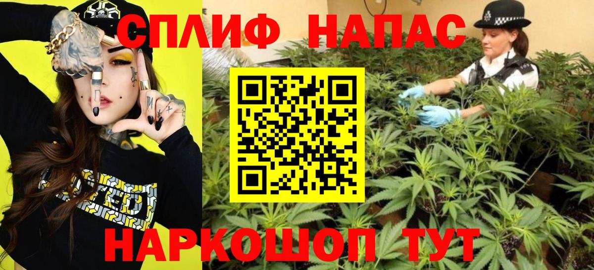 Конопля MAZAR Домодедово